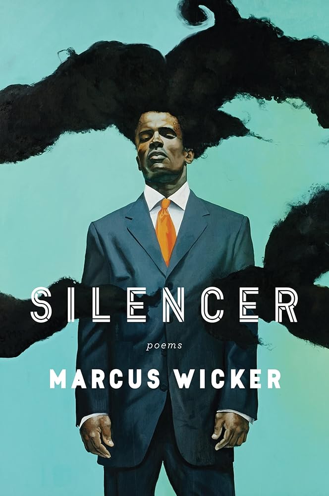 Silencer cover image